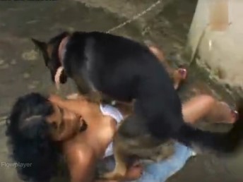 Cachorrinho vila lata comendo uma mulher carioca