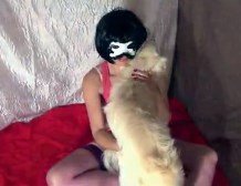 Morena flagrada praticando zoofilia com cachorro